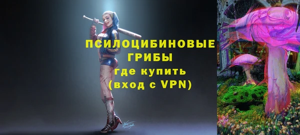 a pvp Володарск