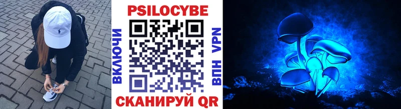 Псилоцибиновые грибы Magic Shrooms  Купить закладки  Теберда 